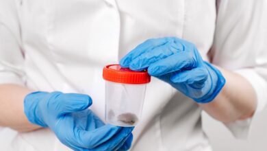 Escala de Bristol: o que as fezes revelam sobre a saúde intestinal